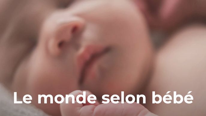 Le Monde Selon Bebe Poisson Fecond